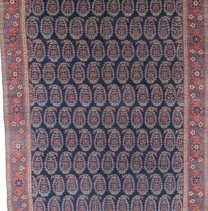 Read more about 11903 NW Persian 6 ft 10 in x 20 ft 7 in